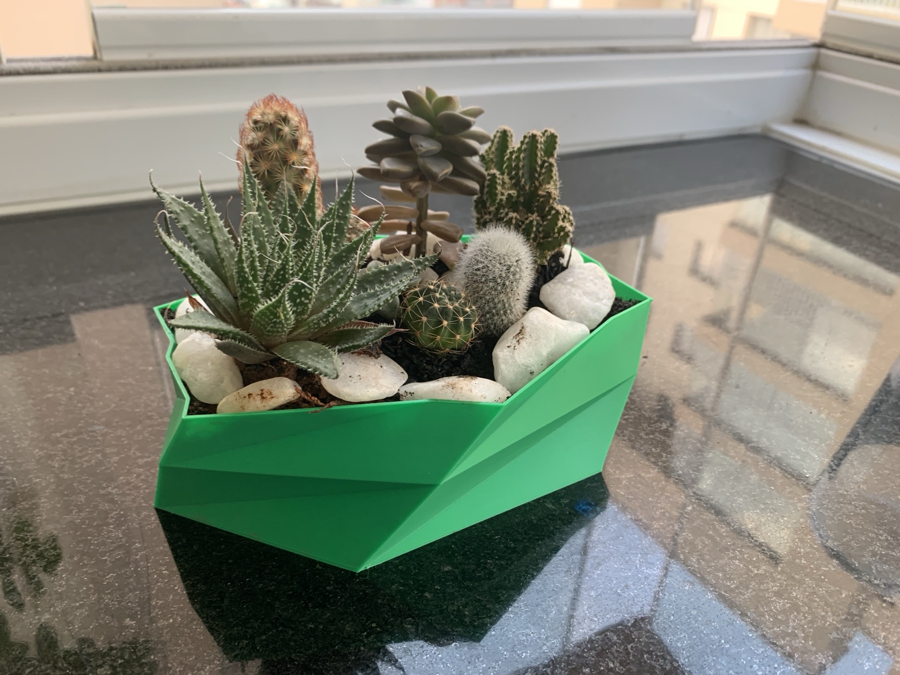 Vaso geométrico verde com suculentas e cactos